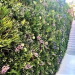 Crafting Luxury Ambience: Green Walls for Hotels, Restaurants, and Retail