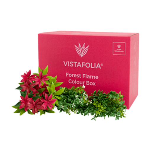 Vistafolia Color & Texture Boxes